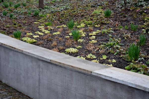 Concrete Wall Construction in Laguna Niguel