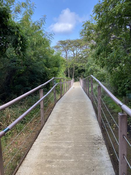 Footpath Construction in Laguna Niguel