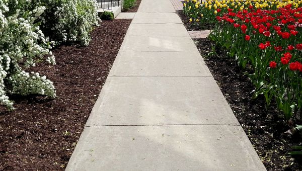 Cement Sidewalk Installation in Laguna Niguel