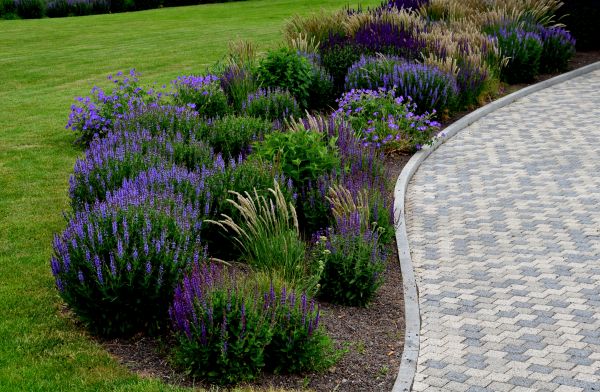 Sidewalk Curb Installation in Laguna Niguel