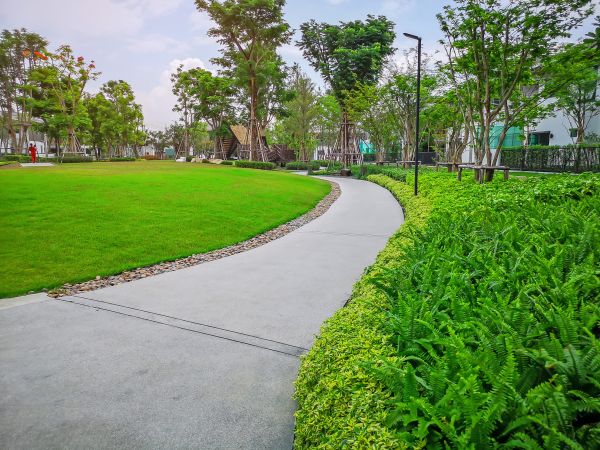 Cement Walkway Service in Laguna Niguel