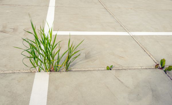 Concrete Parking Installation in Laguna Niguel