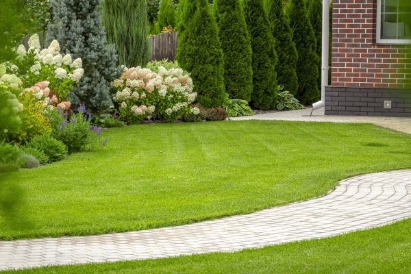 Landscape Walkway Installation in Laguna Niguel
